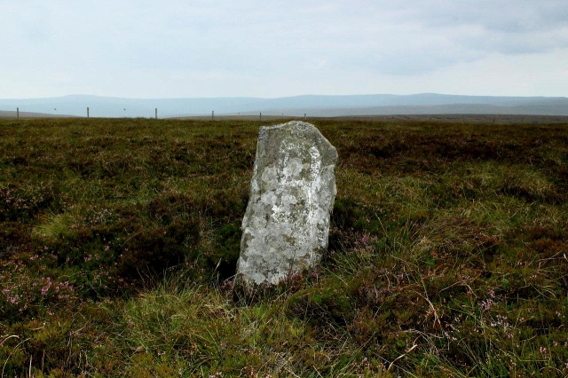 Old boundary stone